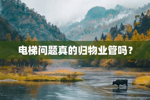 电梯问题真的归物业管吗？