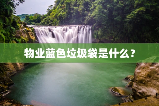 物业蓝色垃圾袋是什么？
