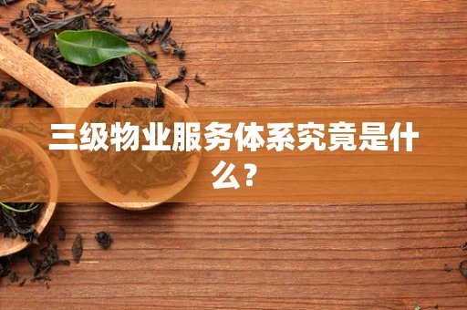 三级物业服务体系究竟是什么？
