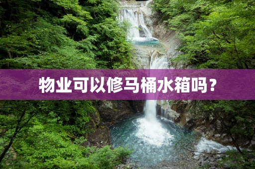 物业可以修马桶水箱吗？