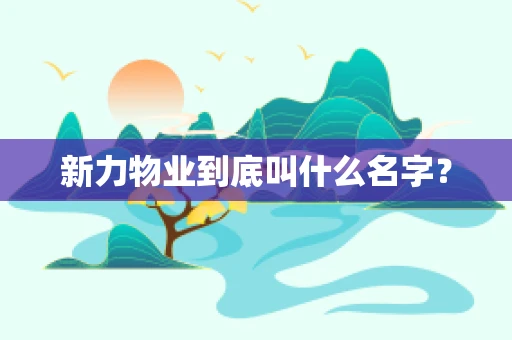 新力物业到底叫什么名字？