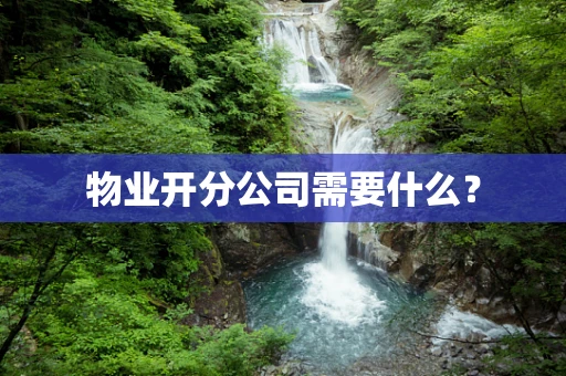 物业开分公司需要什么？