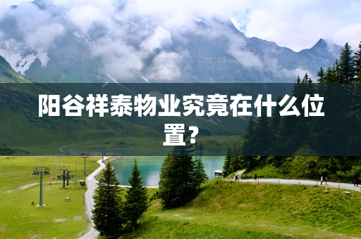 阳谷祥泰物业究竟在什么位置？