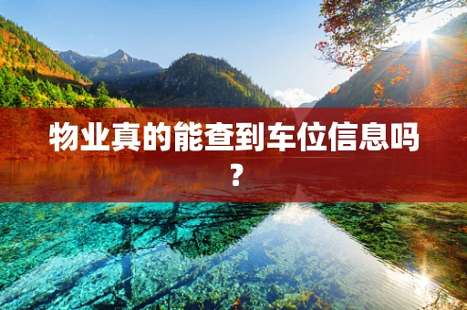 物业真的能查到车位信息吗？