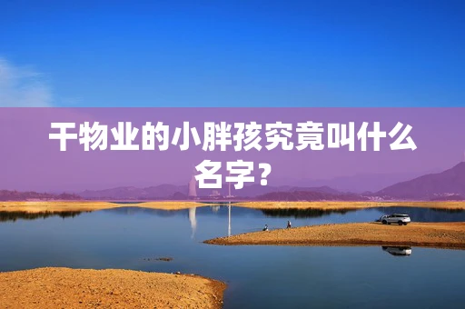 干物业的小胖孩究竟叫什么名字？