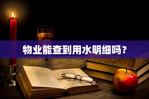 物业能查到用水明细吗？