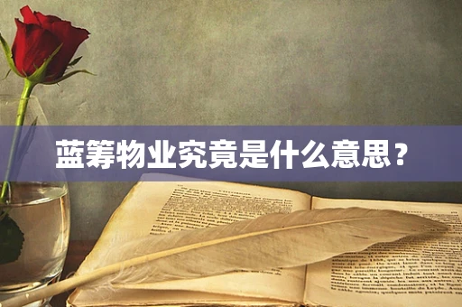 蓝筹物业究竟是什么意思？