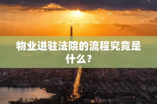 物业进驻法院的流程究竟是什么？