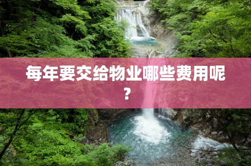 每年要交给物业哪些费用呢？