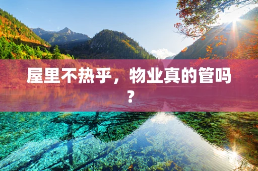 屋里不热乎，物业真的管吗？