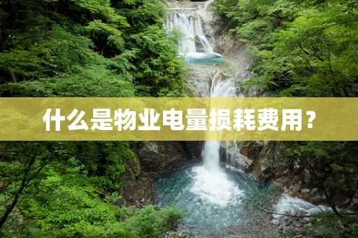 什么是物业电量损耗费用？
