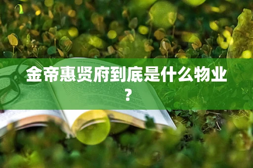 金帝惠贤府到底是什么物业？