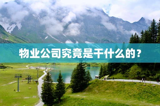 物业公司究竟是干什么的？