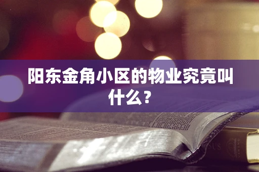 阳东金角小区的物业究竟叫什么？