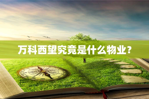 万科西望究竟是什么物业？