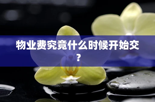 物业费究竟什么时候开始交？