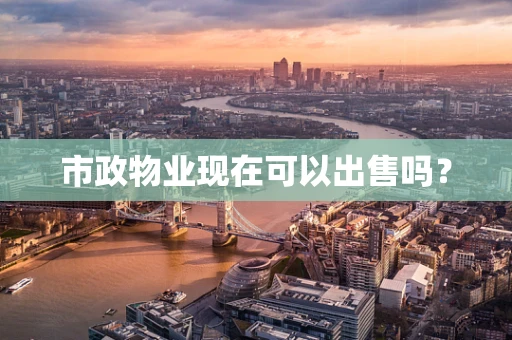 市政物业现在可以出售吗？