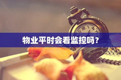 物业平时会看监控吗？
