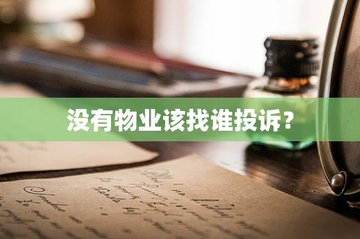 没有物业该找谁投诉？