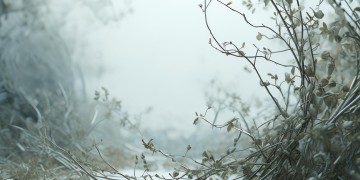 被物业开除会有影响吗？