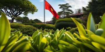 泰兴小区物业有国旗吗？