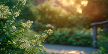 仁恒物业究竟何时成立？