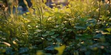 那些值得我们感谢的物业人究竟叫什么？