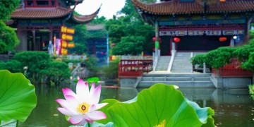 端午节和物业有什么关系呢？