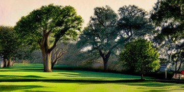 物业可以随意移走树木吗？