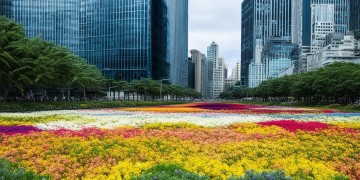 望花海城是物业所服务的小区吗？